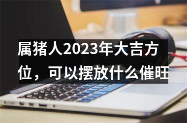 属猪人2025年大吉方位，可以摆放什么催旺