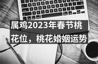 <h3>属鸡2025年春节桃花位，桃花婚姻运势