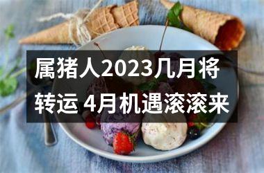 属猪人2025几月将转运 4月机遇滚滚来