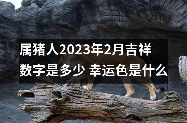 属猪人2025年2月吉祥数字是多少 幸运色是什么