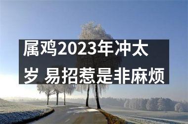 属鸡2025年冲太岁 易招惹是非麻烦