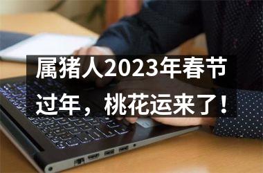 属猪人2025年春节过年，桃花运来了！