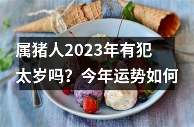 属猪人2025年有犯太岁吗？今年运势如何