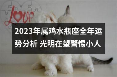 2025年属鸡水瓶座全年运势分析 光明在望警惕小人