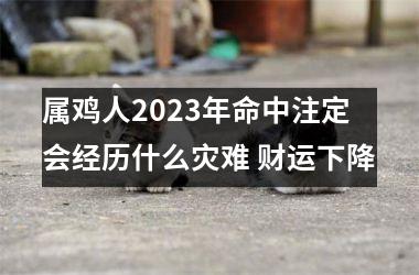 属鸡人2025年命中注定会经历什么灾难 财运下降