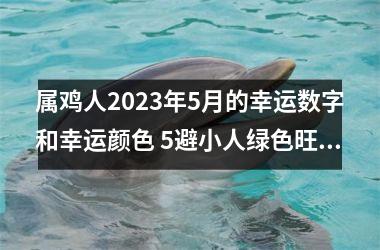 属鸡人2025年5月的幸运数字和幸运颜色 5避小人绿色旺财