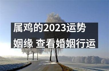 属鸡的2025运势姻缘 查看婚姻行运