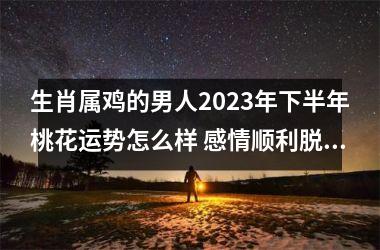 生肖属鸡的男人2025年下半年桃花运势怎么样 感情顺利脱单有望