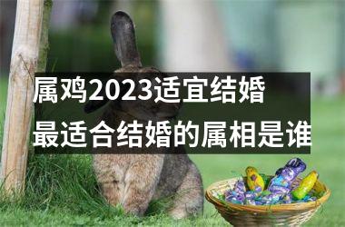 属鸡2025适宜结婚 适合结婚的属相是谁