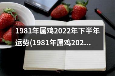 1981年属鸡2025年下半年运势(1981年属鸡2025年运势及运程每月运程)