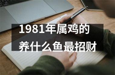 1981年属鸡的养什么鱼招财