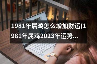 1981年属鸡怎么增加财运(1981年属鸡2025年运势)