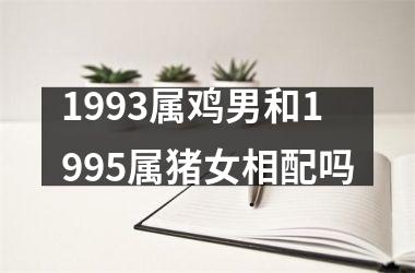 1993属鸡男和1995属猪女相配吗