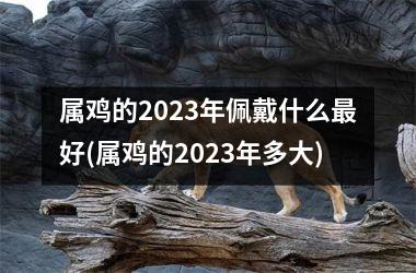 属鸡的2025年佩戴什么好(属鸡的2025年多大)