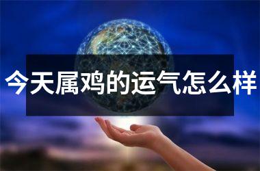 今天属鸡的运气怎么样