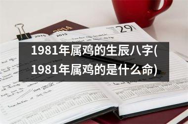 1981年属鸡的生辰八字(1981年属鸡的是什么命)