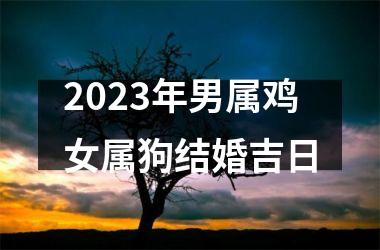 2025年男属鸡女属狗结婚吉日