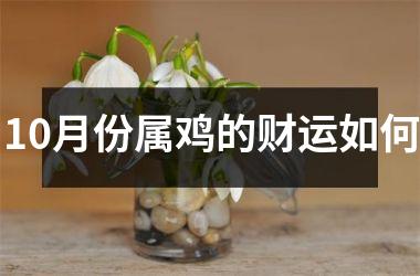 10月份属鸡的财运如何