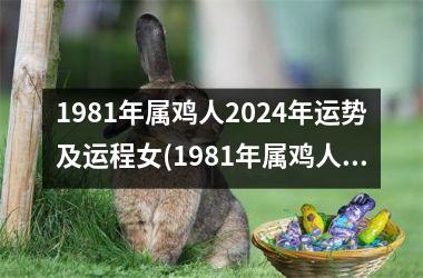 1981年属鸡人2024年运势及运程女(1981年属鸡人2024年运势及运程每月运程)