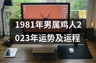 1981年男属鸡人2025年运势及运程