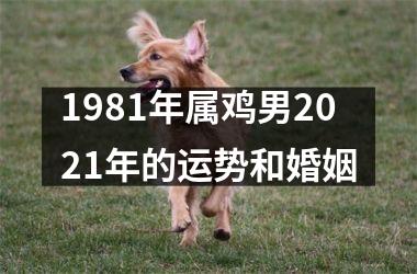 1981年属鸡男2025年的运势和婚姻