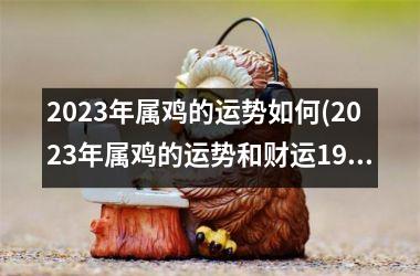 2025年属鸡的运势如何(2025年属鸡的运势和财运1981年)