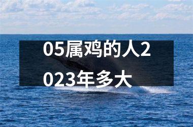 05属鸡的人2025年多大