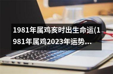 1981年属鸡亥时出生命运(1981年属鸡2025年运势)