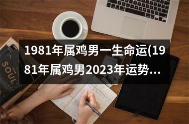 1981年属鸡男一生命运(1981年属鸡男2025年运势及运程每月运程)