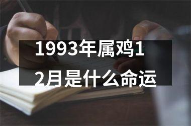 1993年属鸡12月是什么命运