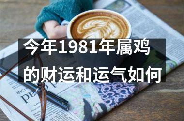 <h3>今年1981年属鸡的财运和运气如何