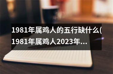 <h3>1981年属鸡人的五行缺什么(1981年属鸡人2025年运势及运程每月运程)