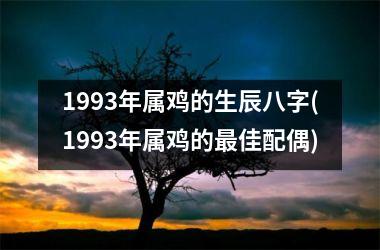 1993年属鸡的生辰八字(1993年属鸡的佳配偶)