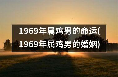 <h3>1969年属鸡男的命运(1969年属鸡男的婚姻)