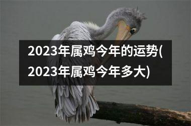 2023年属鸡今年的运势(2023年属鸡今年多大)