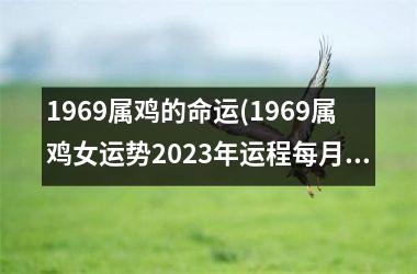 1969属鸡的命运(1969属鸡女运势2025年运程每月运程)