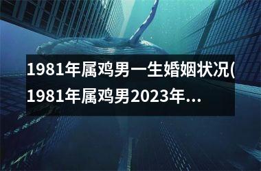 1981年属鸡男一生婚姻状况(1981年属鸡男2025年运势及运程每月运程)