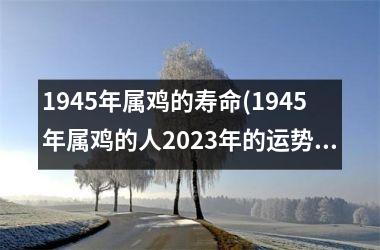 1945年属鸡的寿命(1945年属鸡的人2025年的运势及运程)