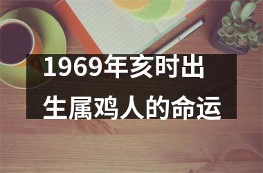 1969年亥时出生属鸡人的命运