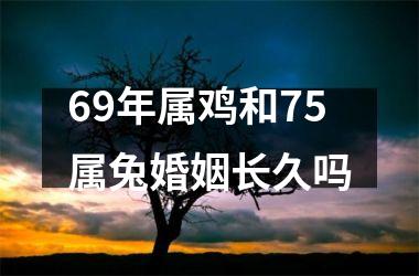 69年属鸡和75属兔婚姻长久吗