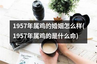 1957年属鸡的婚姻怎么样(1957年属鸡的是什么命)