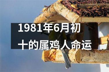 <h3>1981年6月初十的属鸡人命运