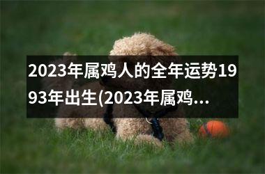 2025年属鸡人的全年运势1993年出生(2025年属鸡人的全年运势1993出生)