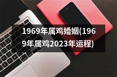 1969年属鸡婚姻(1969年属鸡2025年运程)