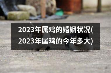 2025年属鸡的婚姻状况(2025年属鸡的今年多大)