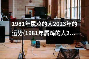 1981年属鸡的人2025年的运势(1981年属鸡的人2025年运势及运程)