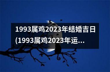 1993属鸡2025年结婚吉日(1993属鸡2025年运势及运程每月运程)