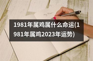 1981年属鸡属什么命运(1981年属鸡2025年运势)