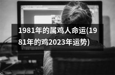 1981年的属鸡人命运(1981年的鸡2025年运势)