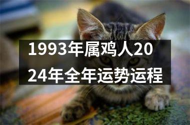 1993年属鸡人2024年全年运势运程